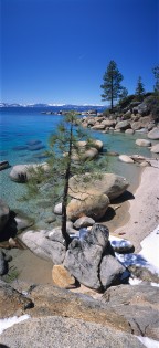 Trees Can Grow Anywhere, East Shore, Lake Tahoe.